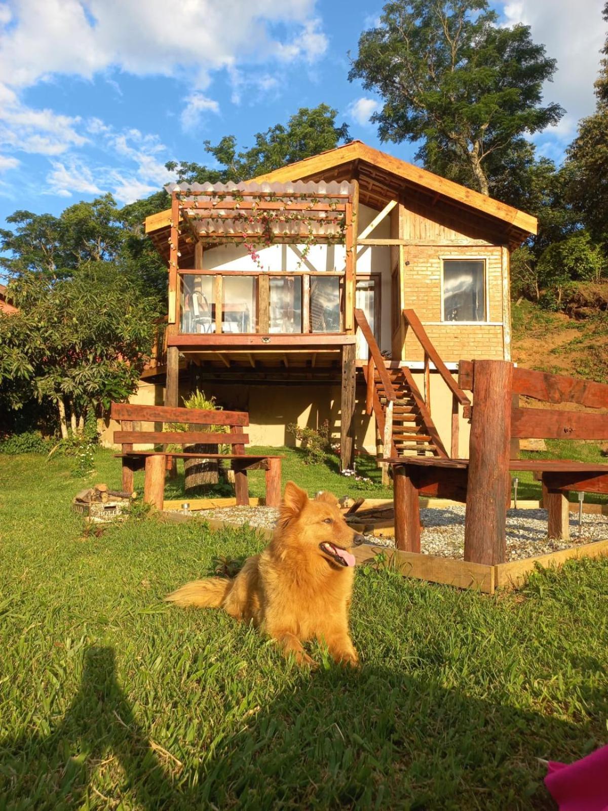 Chales Refugio No Campo Santo Antônio do Pinhal 外观 照片